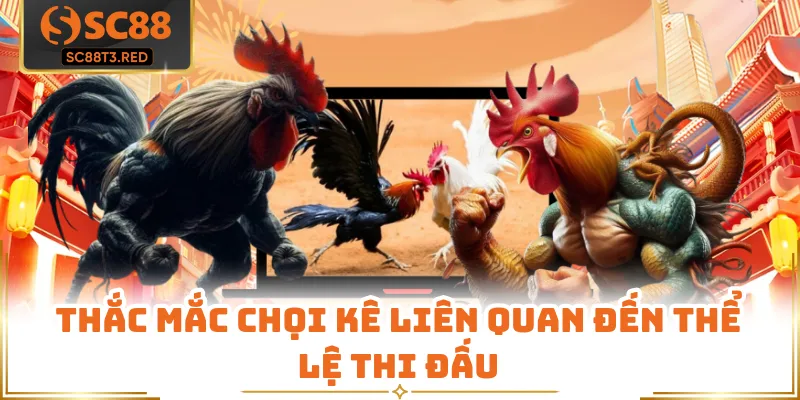 Thắc mắc chọi kê liên quan đến thể lệ thi đấu